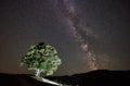Lonely high tree under starry night sky and Milky way Royalty Free Stock Photo