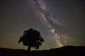 Lonely high tree under starry night sky and Milky way Royalty Free Stock Photo