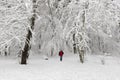 Lonely hiker man walking in the winter forest