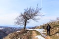 Lonely hiker walk at hike trail at winter day , solitude tree