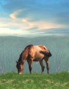 Lonely horse Royalty Free Stock Photo