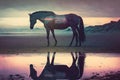 lonely horse on beach in evening coast romantic double exposure
