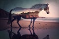 lonely horse on beach in evening coast romantic double exposure