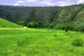 Lonely horse in a meadow in the mountains