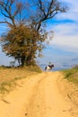 Lonely horse rider Royalty Free Stock Photo