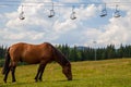 Lonely horse under ski chair lift. Mountain vacation Alpine concept.