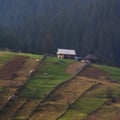 Lonely house of mountain Carpatian Royalty Free Stock Photo