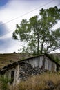 Lonely old house and tree Royalty Free Stock Photo