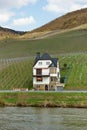 Lonely house in the vine yards of Bernkastel-Kues in Germany Royalty Free Stock Photo