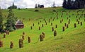 Lonely hut standing on grassland or field in hills and in front of it can see many sheaves