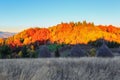 Lonely hut stands high in the mountain meadow, behind which opens a view of the multicolored autumn Carpathian forest. Royalty Free Stock Photo