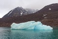 Lonely Iceberg on a Barren Arctic Shore Royalty Free Stock Photo