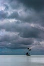 Lonely island, Raiatea, French Polynesia