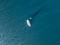 Lonely isolated yacht under the sail with tall mast going in still sea aerial top view Royalty Free Stock Photo