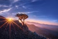 A lonely juniper in the mountains at sunset. Cyprus, Mount Madari. Stunning landscape. Horizontal photo.