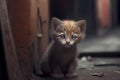 A lonely kitten abandoned in an alley, its big eyes full of sadness as it looks for a way out, ai illustration