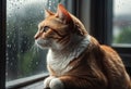 Lonely kitten sits on window sill. Generative AI