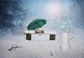 Lonely kitten under the umbrella