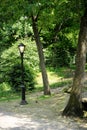 A lonely lantern in New York City Central Park