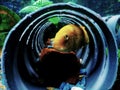 Lonely lemon fish in an aquarium