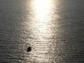 so lonely in life and ocean. Sunlight on water. Royalty Free Stock Photo