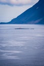 Lonely lighthouse in the sea.