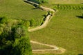 Lonely little winding road amidst vineyards