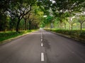 Lonely long road surrounded tree