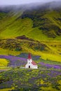 Lonely Lutheran Myrdal church surrounded by violet and pink lupine and yellow meadow flowers at Vik town, South Iceland, at summer
