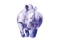 Lonely male rhino. Drawing in watercolor.