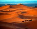 Lonely man and camel in Sahara Desert in sunset Royalty Free Stock Photo