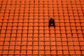 lonely man on the empty stadium seat cheering for the team, one man army concept Royalty Free Stock Photo