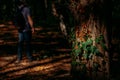 Lonely man hiker with backpack standing alone in forest in tree shadows Royalty Free Stock Photo