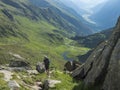 Lonely man hiker with heavy backpack at Stubai hiking trail, Stubai Hohenweg at green summer alpine mountain valley with Royalty Free Stock Photo