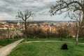 Lonely man relaxing in park and enjoying panoramic spring view of Prague,Czech republic. Blooming sakura cherry trees on Petrin Royalty Free Stock Photo