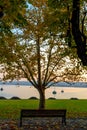 Lonely man sitting between two trees on a bench and looking at the lake.Italy, Arona. Royalty Free Stock Photo