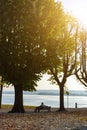 Lonely man sitting between two trees on a bench and looking at the lake. Royalty Free Stock Photo