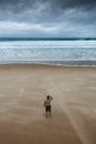 Lonely man staring at overcast beach.