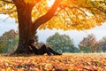 Lonely man under old orange cherry tree Royalty Free Stock Photo