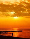 Lonely man walking on the beach Royalty Free Stock Photo