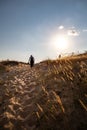 Lonely man walking in the desert dunes at sunset Royalty Free Stock Photo