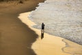 Lonely man walking on golden sand beach with ocean waves, low tide at sunset, beautiful background, colorful landscape Royalty Free Stock Photo