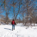 Lonely man walking on the snow in the winter forest Royalty Free Stock Photo