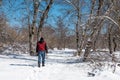 Lonely man walking on the snow in the winter forest Royalty Free Stock Photo