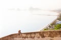 Lonely monkey on roof top balcony on the mountain, bay and city