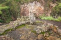 Lonely monkey on the slope of the Gunung Batur volcano, Bali, Indonesia