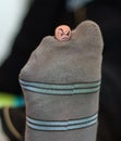 Lonely moody finger in torn sock Royalty Free Stock Photo