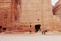 Lonely mule in petra jordan Royalty Free Stock Photo