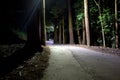 Lonely Night Road Royalty Free Stock Photo