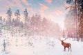 Lonely noble deer mail with big horns against winter fairy forest against sunset.